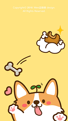 柯基宝宝