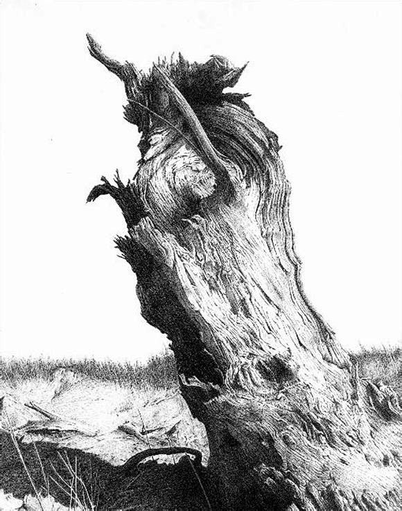 com 钢笔画大师 徐亚华的精美钢笔画-素描作品-爱画网 art456.