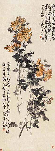 清心山绿色产业采集到经典山水