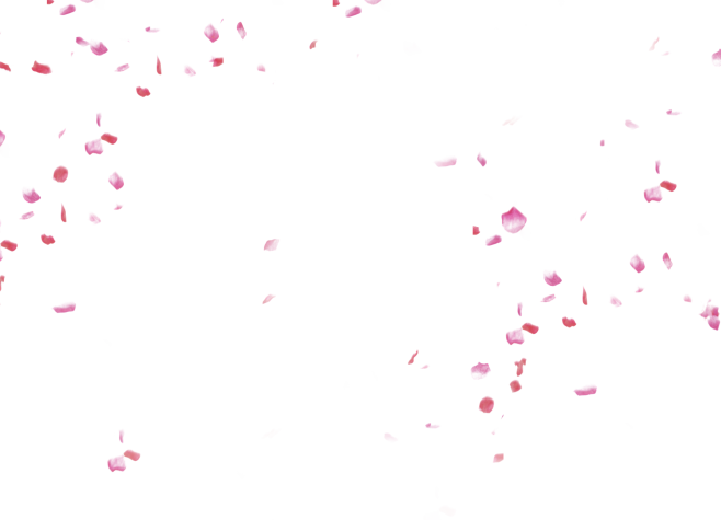 花瓣,陪你做生活的设计师