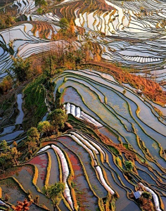 f项目-哈尼梯田