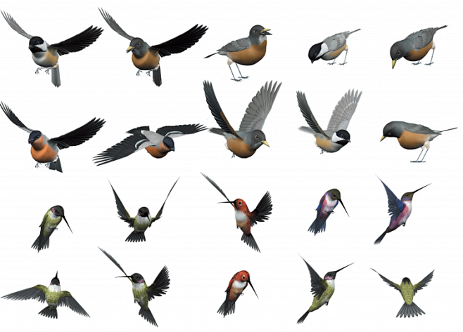 小鸟飞鸟手绘卡通免抠图31设计素材网