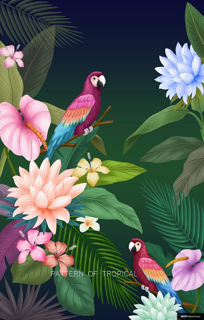 花型丛林动物植物热带丛林插图热带植物插图