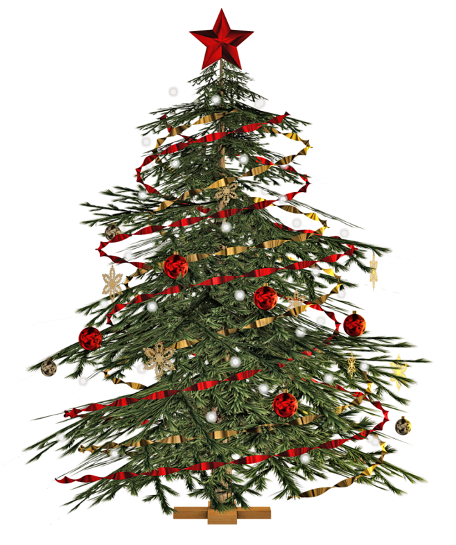 net christmas_tree_png_stock_by_jumpfer_stock-d6w. 1 img08.