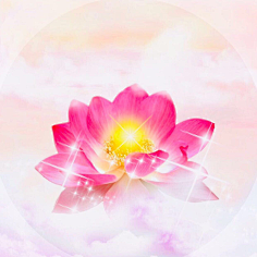 素香禅心采集到莲花