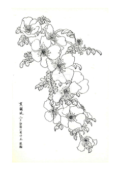 线稿