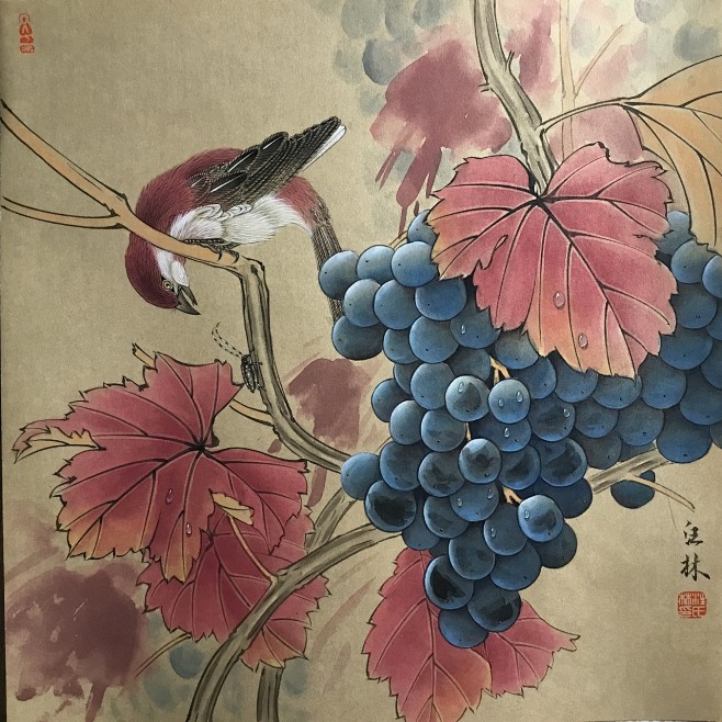 gbhn工笔画花,鸟