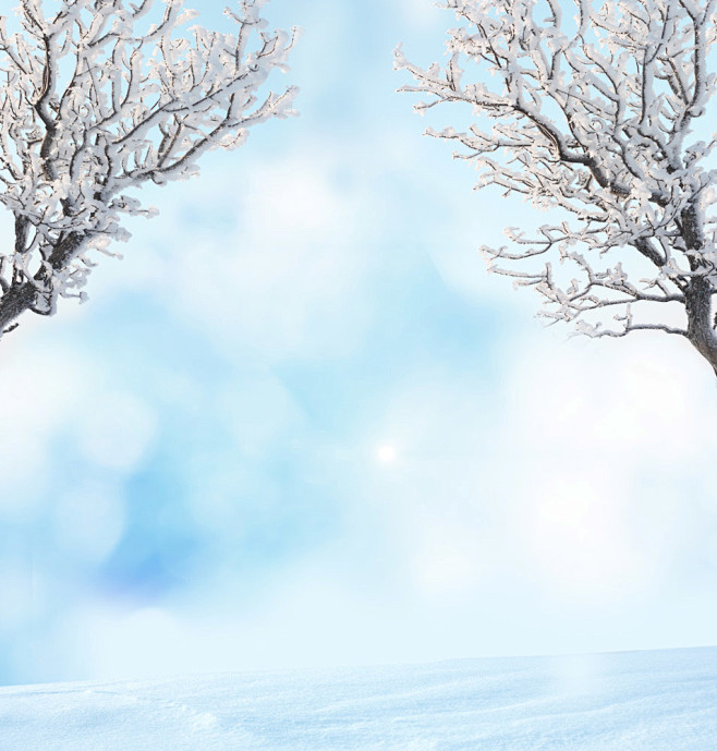 美丽冬天雪地风景图片