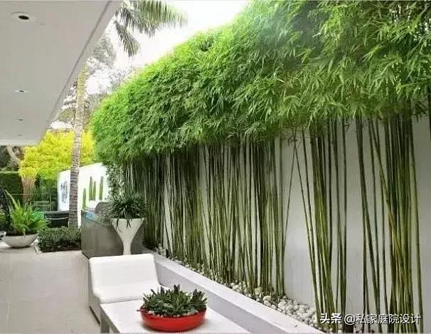 庭院-花瓣网|陪你做生活的设计师 | 竹子在庭院景观中