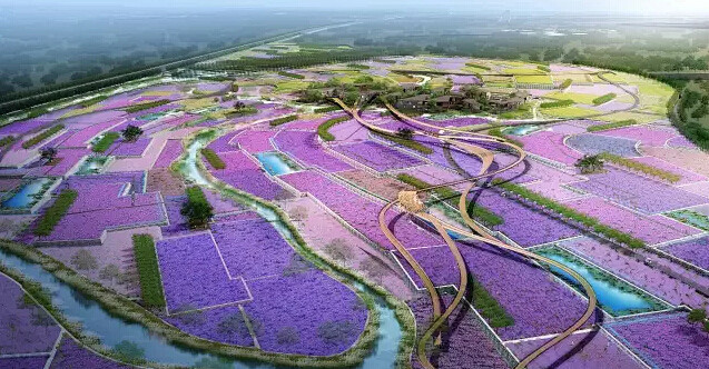 景观设计花海景观规划设计