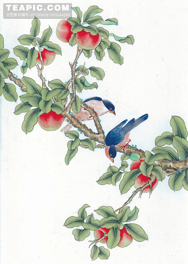 quot;℡~agoni☆珍惜采集到七夕 [工笔画—苹果树上的喜鹊]