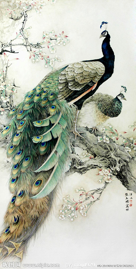 鸡 鹤 孔雀 花鸟 的国画工笔画