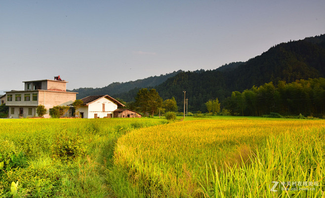 美丽乡村美丽风景