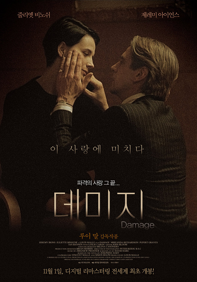 烈火情人damage1992posterviadouban