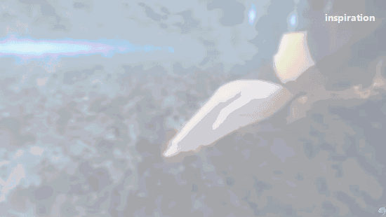 com 迷失♂single采集到分镜特效 采集 magesbox.com 02.gif