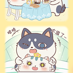 小贱猫土豆君