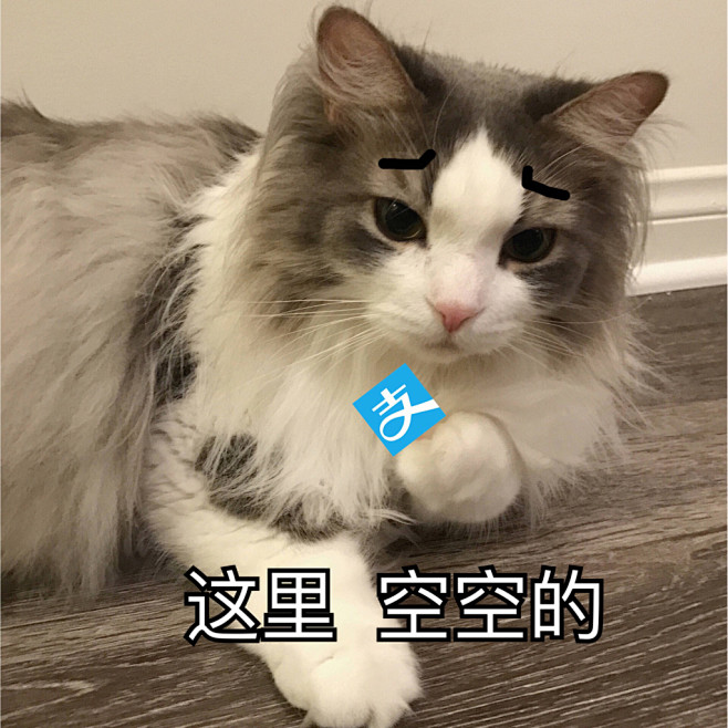 萌(猫咪表情包)