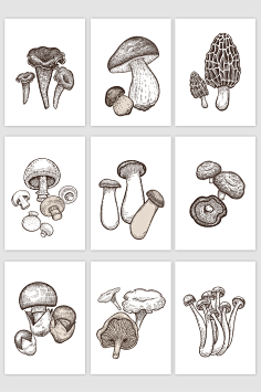 线描素材(黑白装饰画)