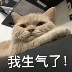 超可爱猫咪表情包