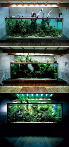 鱼缸造景-花瓣网|陪你做生活的设计师 | - 水草造景