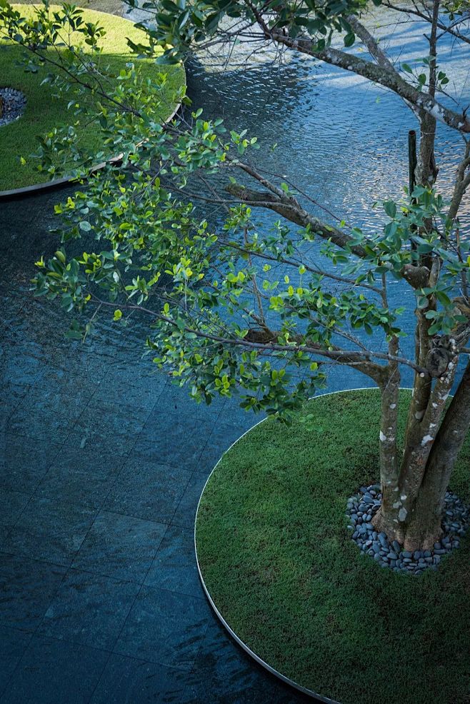 水景