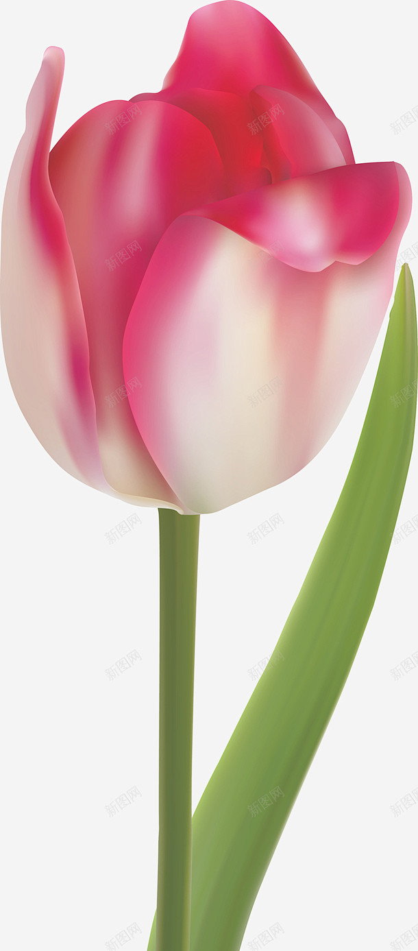 矢量图 郁金香地 郁金香字 郁金香标志 郁金香海 郁金香花 郁金香花边