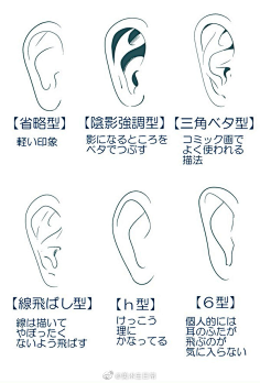 手绘五官-花瓣网|陪你做生活的设计师 | 不同角度耳朵