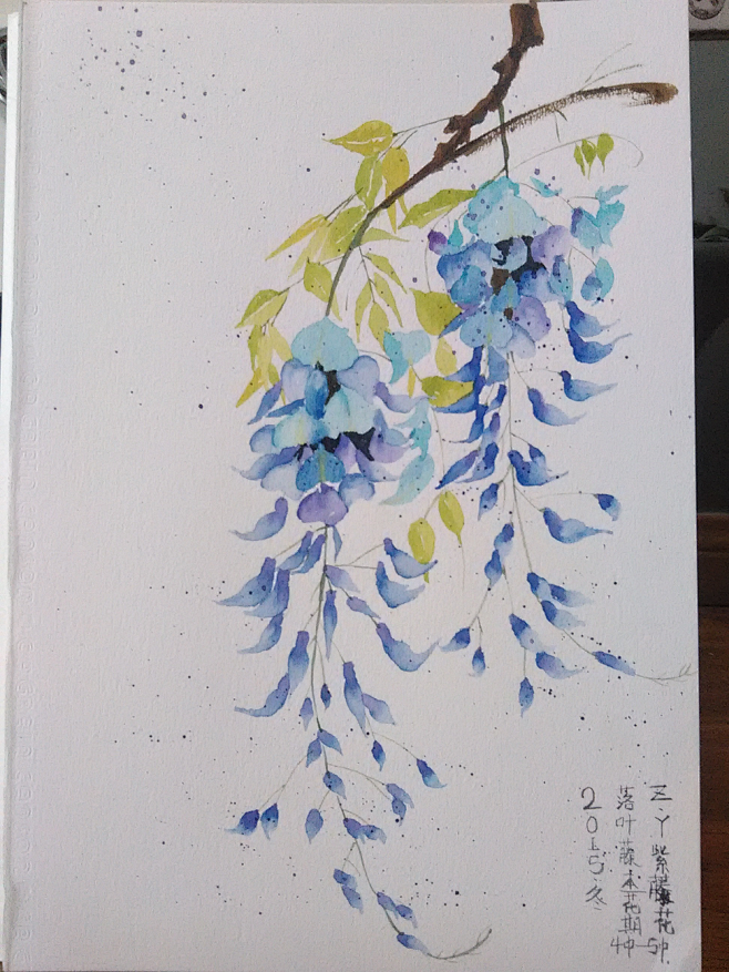 手绘紫藤花