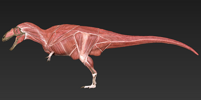 acrocanthosaurus ana.