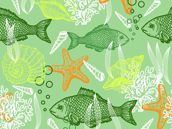动物简笔画 海洋动物-jpg - 500x630 - 59.