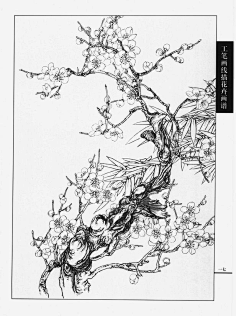 采集梅花小弄采集到白描花卉-梅花工笔画线描花卉画谱(梅花篇)采集