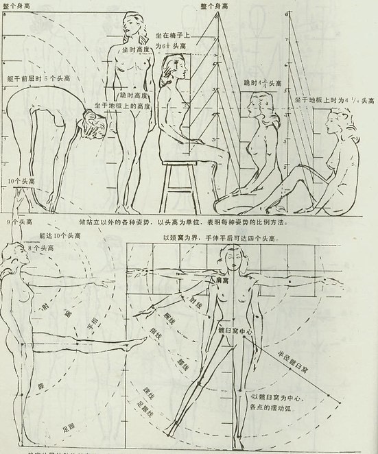 转帖绘画中人的五官比例标准速写素描人体比例结构详解