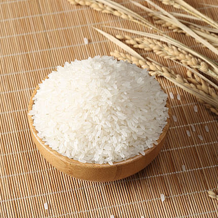 大米类素材