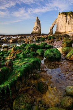 聆听世界的旋律采集到美景