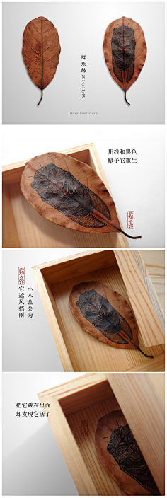 图图Amandar采集到插画
