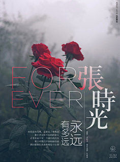 Lurviney丶采集到海报