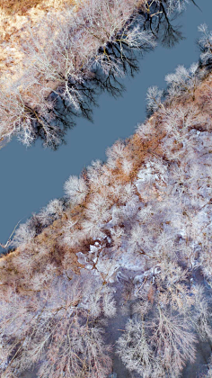 四季的独奏采集到风景河流湖泊