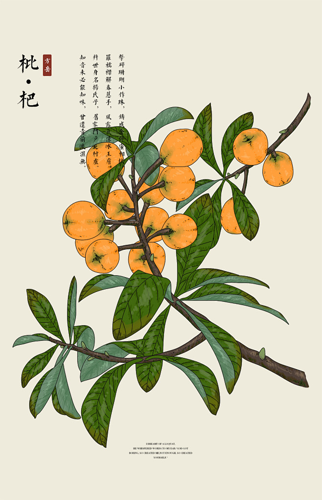 design5210从大爱zee转采于2021-01-21 13:30:16枇杷插画/水彩/手绘图