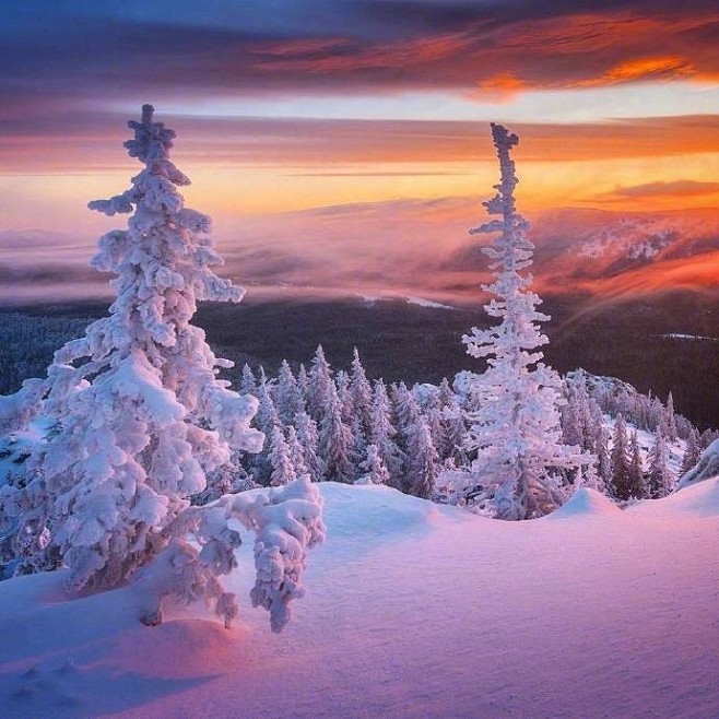 雪景