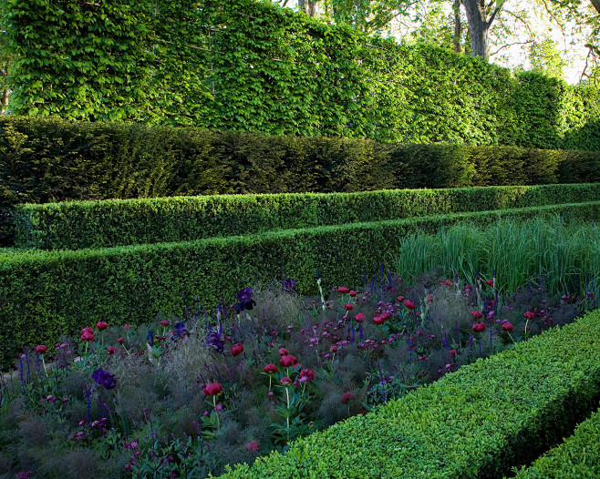 lucianogiubbileichelsea2009