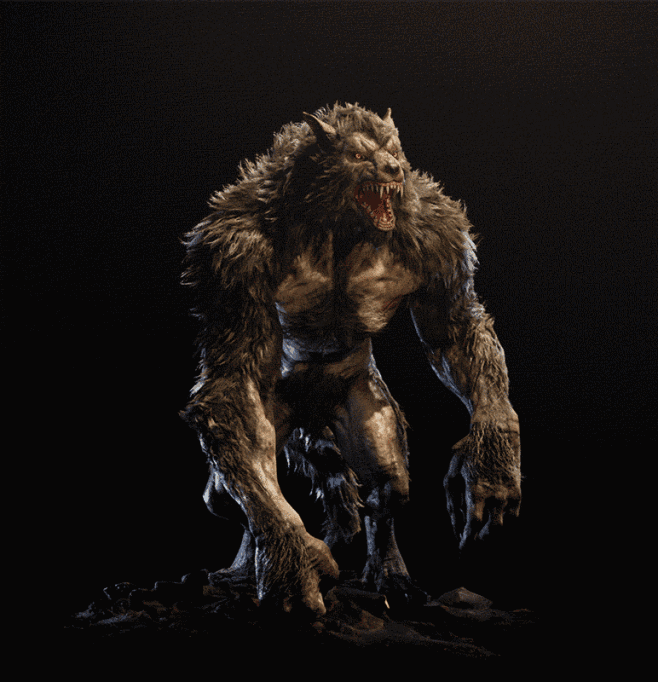 kusokusokuso采集到狼