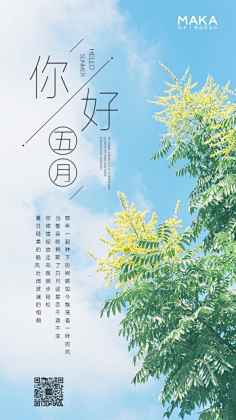 少灵司采集到新媒体