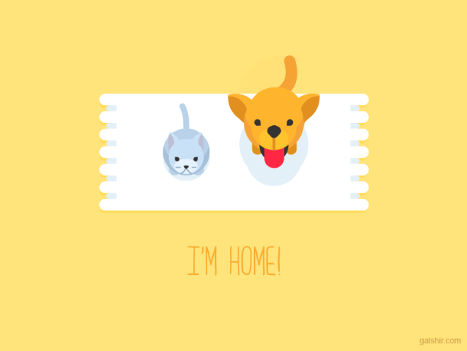 galshir狗vs猫dribbble