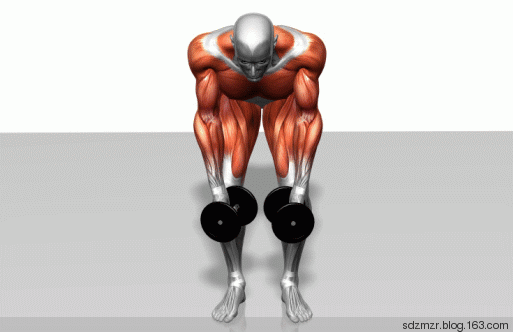 锻炼动态图逍遥客逍遥客哑铃俯身飞鸟