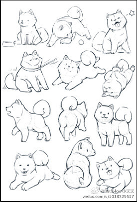 日本柴犬可爱简笔画图片