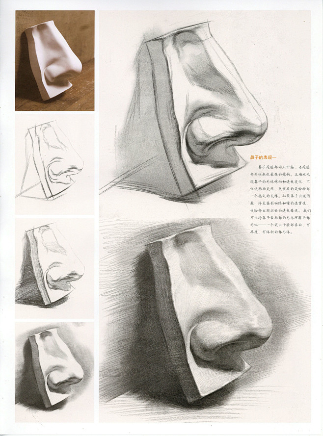 素描石膏石膏五官鼻全因素结构美术作品图库美术宝图库