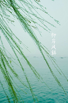 3,【中国节气:春分】—— 柳岸风斜// br/>春山浅黛,雷乃发声.