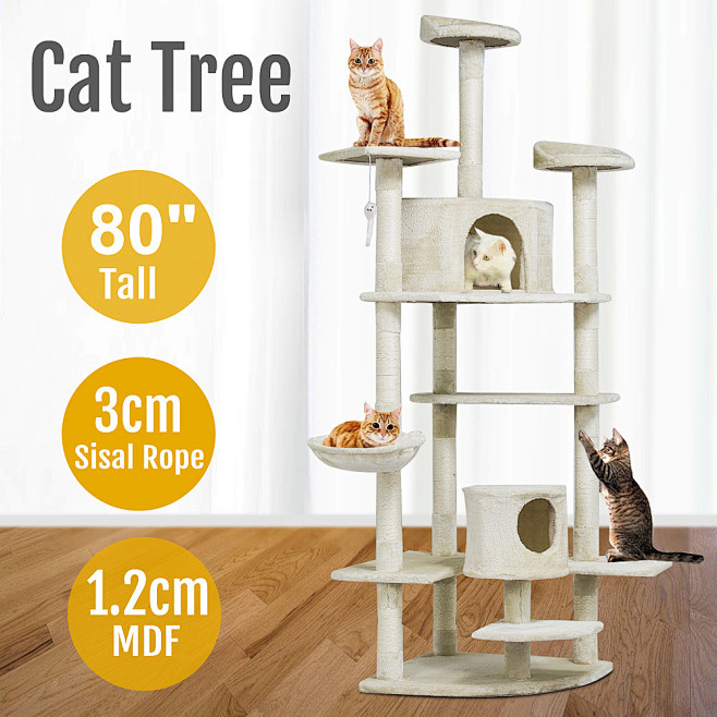 亚马逊主图ebay主图淘宝主图二