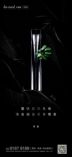 dalian煎饼采集到房地产海报