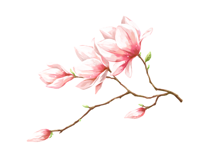 手绘桃花